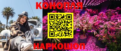 МДПВ Старая Купавна