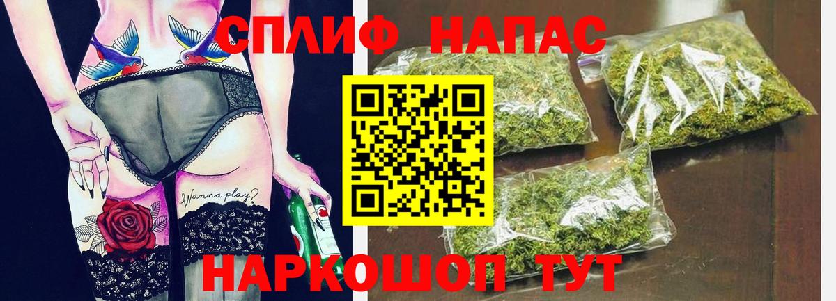 Бошки Шишки планчик Партизанск